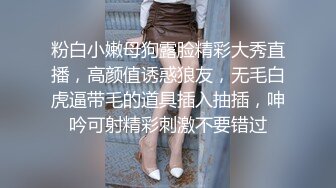 国产麻豆AV 兔子先生监制 TZ055 秘密女搜查官 中野惠子