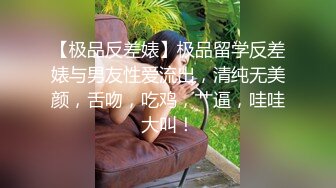 新晋探花，天天神出鬼没的【去哪儿嫖一下】超清4K设备偷拍，风骚美人妻，极品美乳，跳蛋自慰水汪汪，角度画质完美