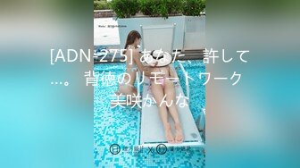 [ADN-275] あなた、許して…。 背徳のリモートワーク 美咲かんな