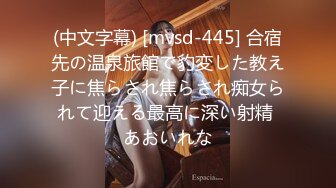 极上泡姫物语 Vol.27