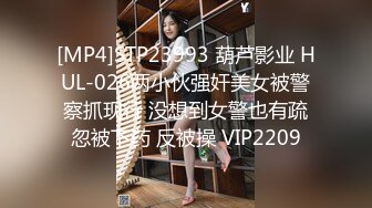 [MP4]STP23993 葫芦影业 HUL-026两小伙强奸美女被警察抓现行 没想到女警也有疏忽被下药 反被操 VIP2209