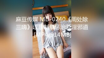 麻豆传媒 MD-0240《周处除三嗨》以暴制暴惩治荒淫邪道 [MP4/914MB]