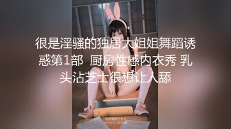 探花小队另类玩法SM调教美臀小姐姐，换上女仆装翘起美臀，肛塞尾巴小皮鞭，后入大屁股一下下撞击