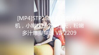 [MP4]性感裙子美少妇坐身上摸逼69姿势口交拉手猛操