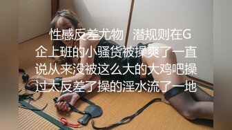 呆哥 重磅豪华精品大片高端约会系列-调教性感网袜车模Amy小艾米