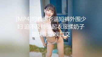 【中字】日本三级片《下流的海女》