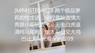 【AI换脸视频】郑秀珍 女神的圣诞礼物