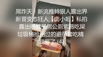 屌炸天！新流推特狠人露出界新晋变态狂人【南小姐】私拍 露出喂蚊子男公厕紫薇吃屎垃圾桶捡用过的避孕套吃精 我服了 (4)