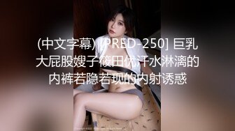 果冻传媒 91YCM086 美乳试睡员床上猛烈抽插 斑斑