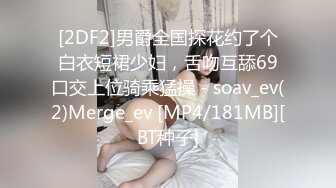 极品小姐姐摸鱼推荐女明星姐姐onlyfans_推特＿孙禾颐_23年（合集）【74v】 (41)