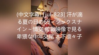 [MP4/239MB]天美传媒TMW056 我哥交了新女友