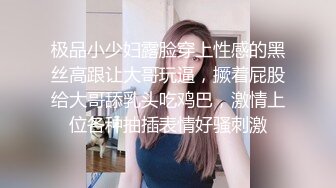 爆乳肥臀的金发熟女最喜欢被黑人肏OfficerJane资源合集【32V】 (1)