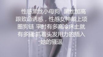 ✿性感黑丝小母狗✿黑丝加高跟致命诱惑，性感女神戴上项圈狗链 平时有多高冷床上就有多骚 抓着头发用力的插入她的骚逼