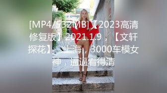 [MP4/532MB]【2023高清修复版】2021.1.9，【文轩探花】，上海，3000车模女神，逼逼看得清