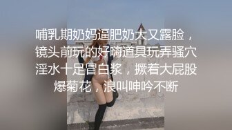 极品浪叫无套内射丰满浪妞