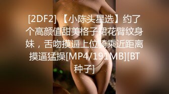 [2DF2] 【小陈头星选】约了个高颜值甜美格子裙花臂纹身妹，舌吻摸逼上位骑乘近距离摸逼猛操[MP4/191MB][BT种子]