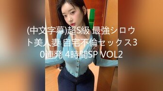 (中文字幕)超S級 最強シロウト美人妻 自宅不倫セックス30連発 4時間SP VOL2