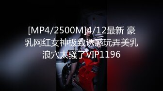 [MP4/2500M]4/12最新 豪乳网红女神极致诱惑玩弄美乳浪穴太骚了VIP1196