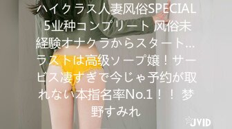 ハイクラス人妻风俗SPECIAL 5业种コンプリート 风俗未経験オナクラからスタート…ラストは高级ソープ嬢！サービス凄すぎで今じゃ予约が取れない本指名率No.1！！ 梦野すみれ