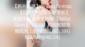 [MP4/412M]3/26最新 大哥不在家灌醉嫂子偷偷的脱下她的内裤干她的小黑鲍VIP1196