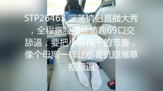 酒店约炮仁川故乡24岁气质女导游李佳贤4K高清无水印版