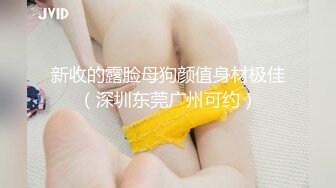 新收的露脸母狗颜值身材极佳（深圳东莞广州可约）