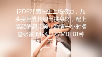 [2DF2] 黄先生上场接力，九头身巨乳长腿高挑身材，配上高颜值超完美，激情一小时撸管必备[MP4/277MB][BT种子]