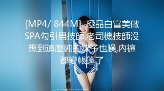 ID-5234 风骚妻子趁老公醉酒，孕卵居酒屋 -莉娜-