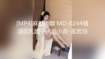 [MP4]麻豆传媒 MD-0244骚淫巨乳嫂子诱惑小叔-孟若羽