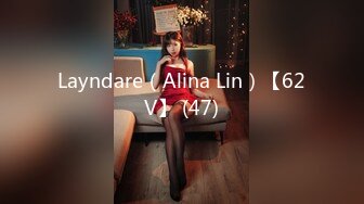 Layndare（Alina Lin）【62V】 (47)