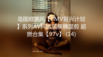 岛国欧美风【PMV复兴计划】系列AV抖音风裸舞混剪 超燃合集【97v】 (14)