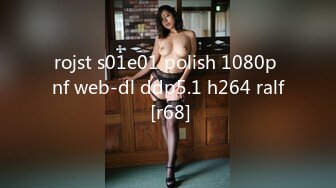 rojst s01e01 polish 1080p nf web-dl ddp5.1 h264 ralf [r68]