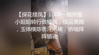 【探花楼凤】1000一炮外围小姐姐转行做楼凤，极品美胸，玉体横陈香汗淋漓，娇喘阵阵销魂