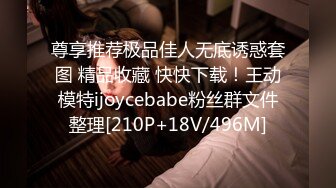 尊享推荐极品佳人无底诱惑套图 精品收藏 快快下载！王动模特ijoycebabe粉丝群文件整理[210P+18V/496M]