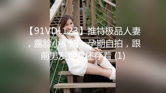 【91VDL123】推特极品人妻，露脸小少妇，孕期自拍，跟前男友性爱还存着 (1)