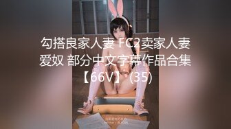 勾搭良家人妻 FC2卖家人妻爱奴 部分中文字幕作品合集【66V】 (35)